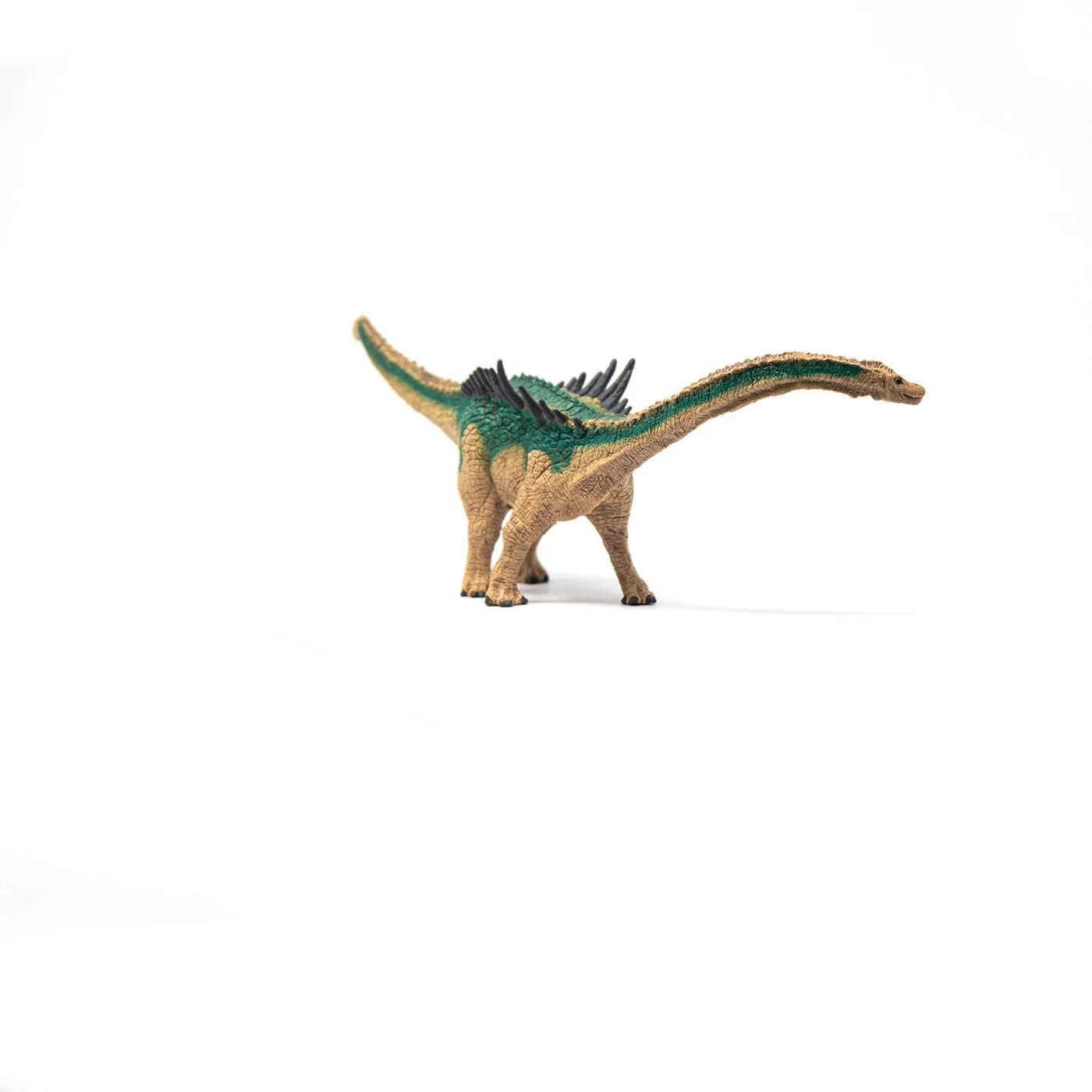 Schleich Agustinia - Image 26