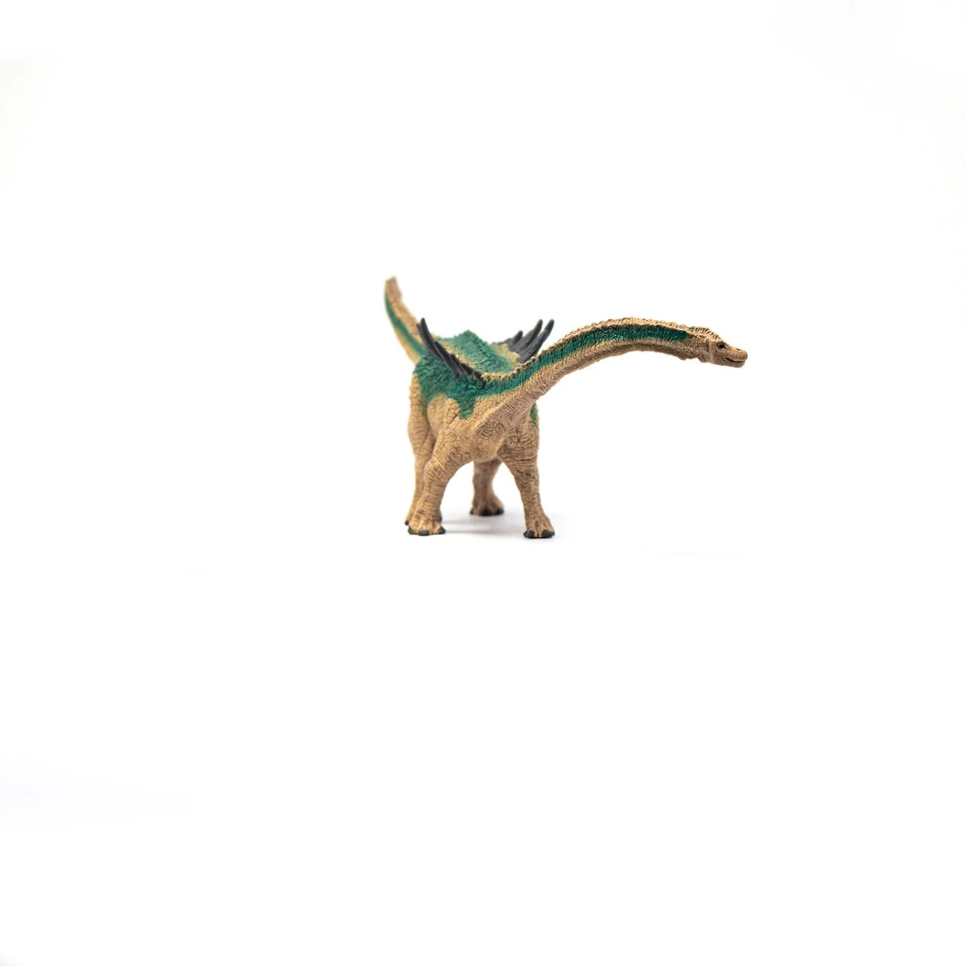 Schleich Agustinia - Image 27