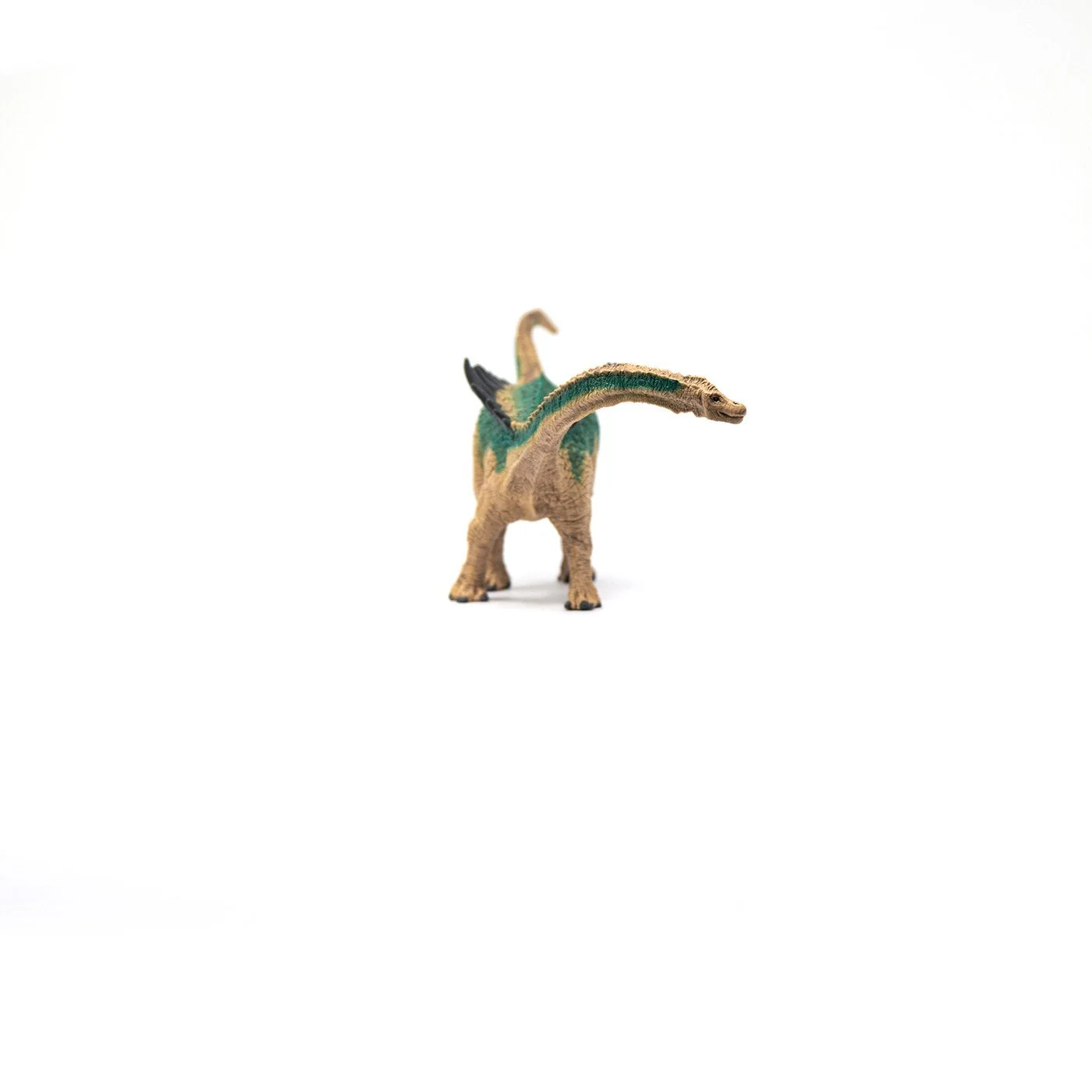 Schleich Agustinia - Image 4