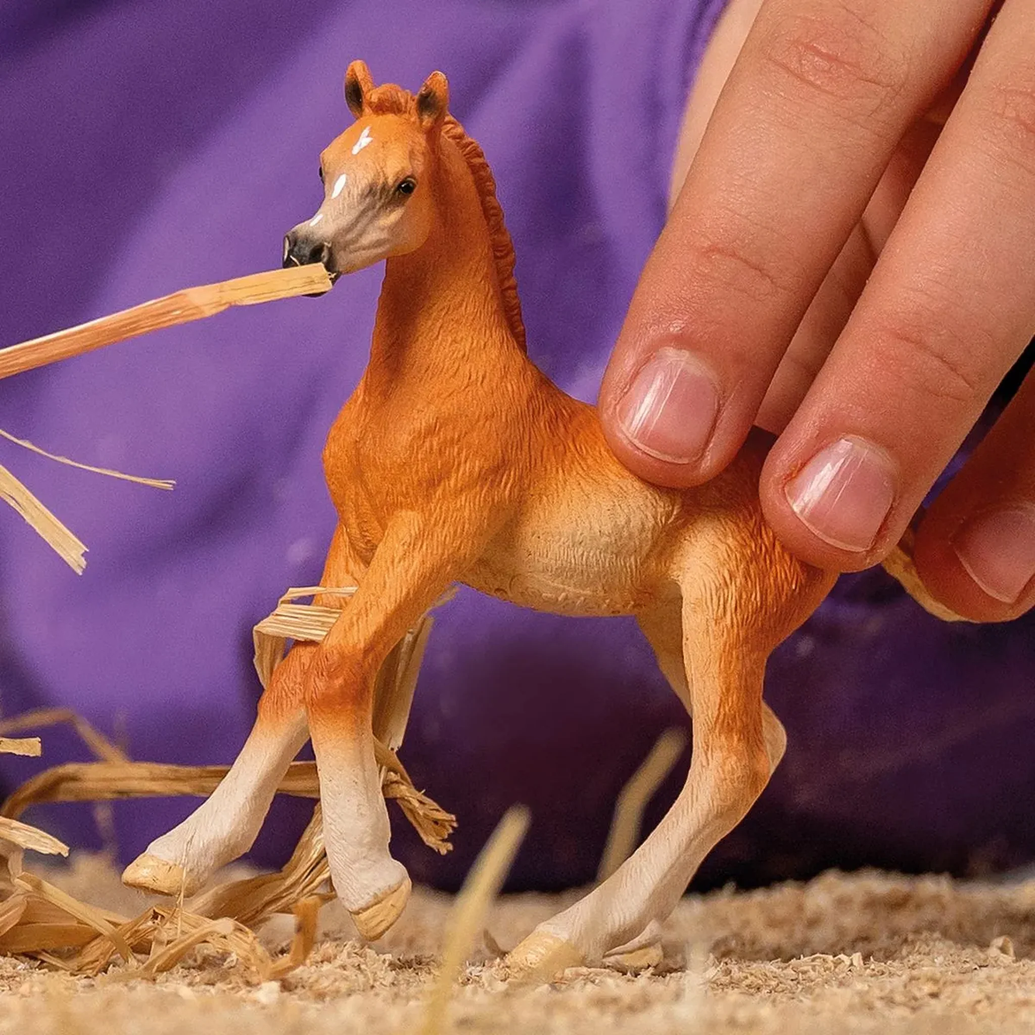 Schleich Arabian Foal - Image 2