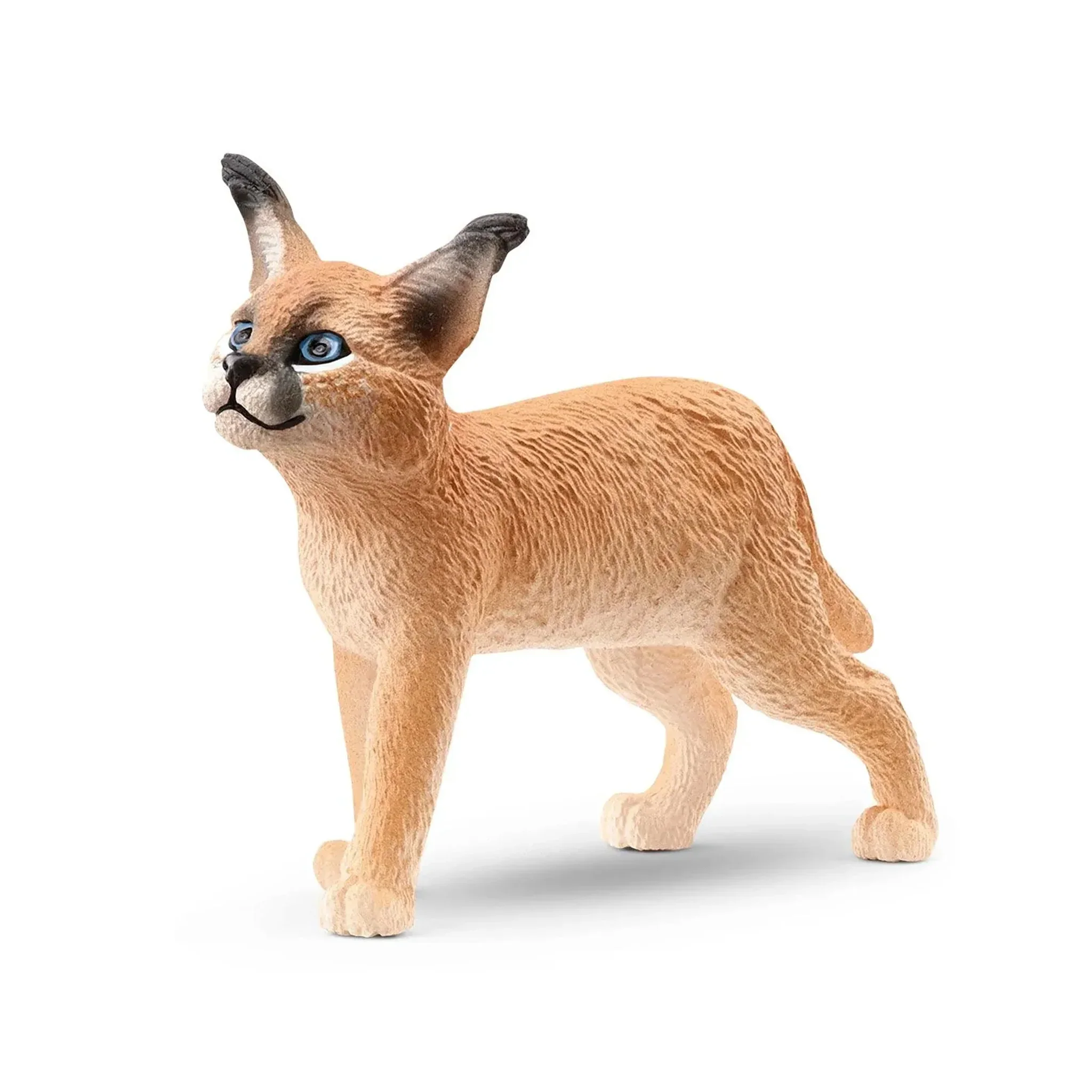 Schleich Big Cats – 10 piece set - Image 2