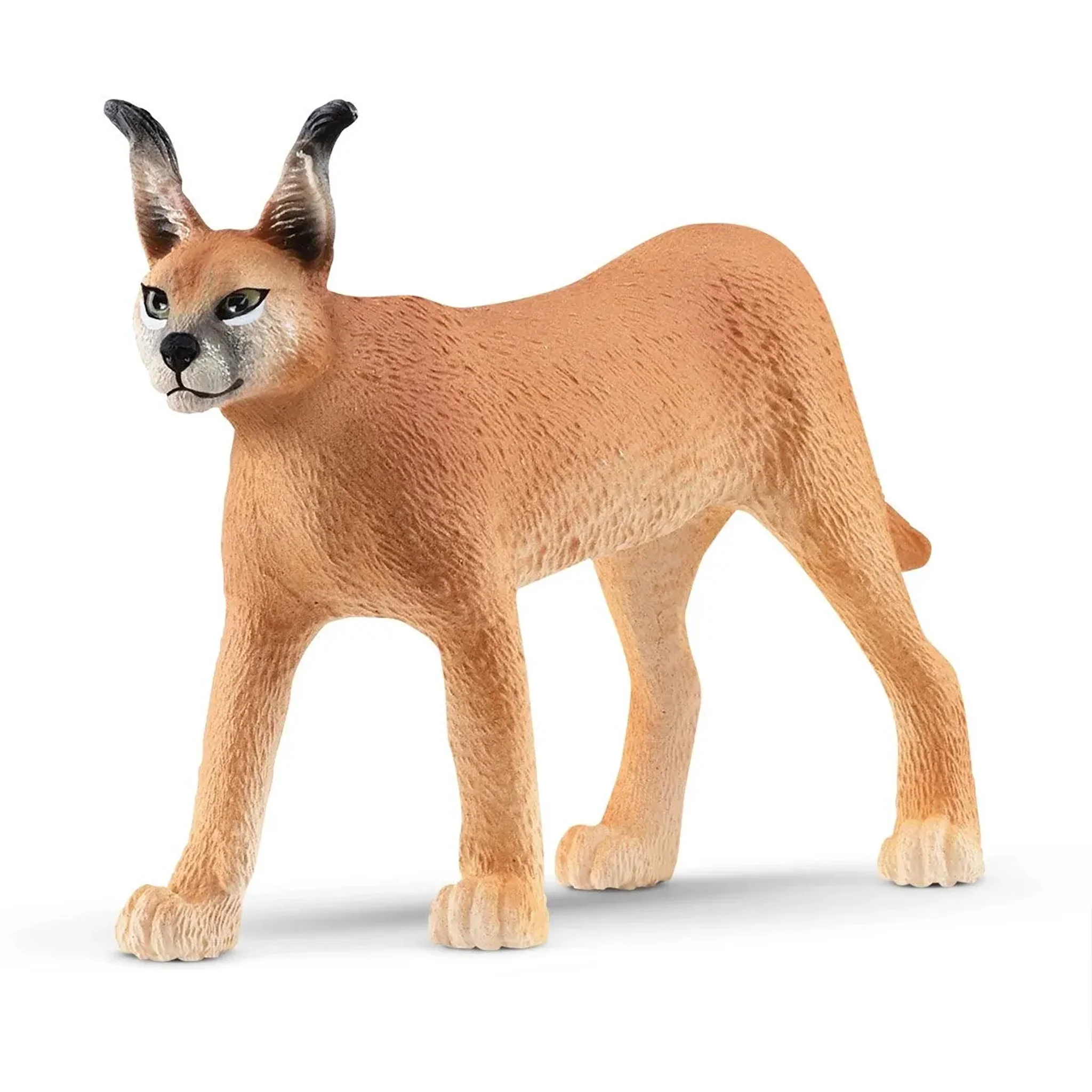 Schleich Big Cats – 10 piece set - Image 3
