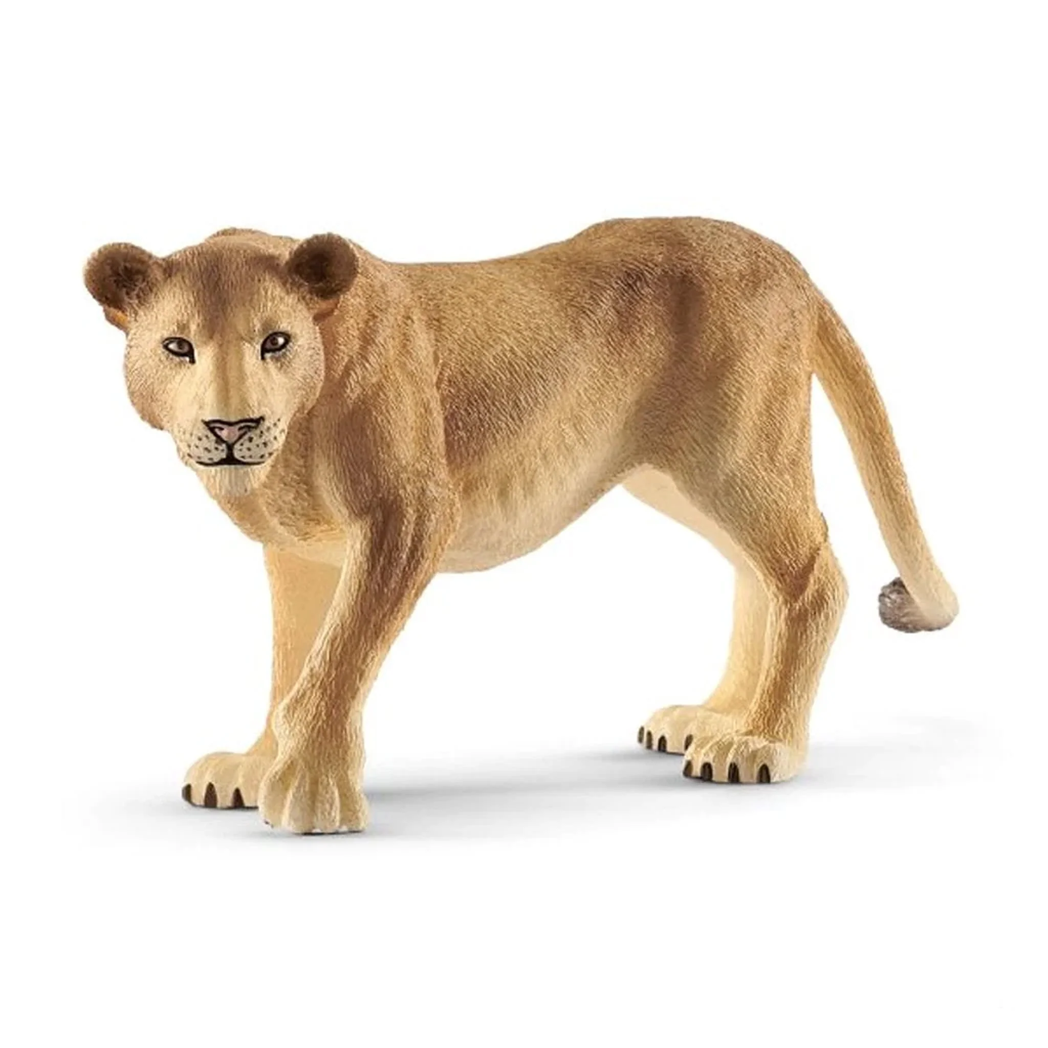 Schleich Big Cats – 10 piece set - Image 6