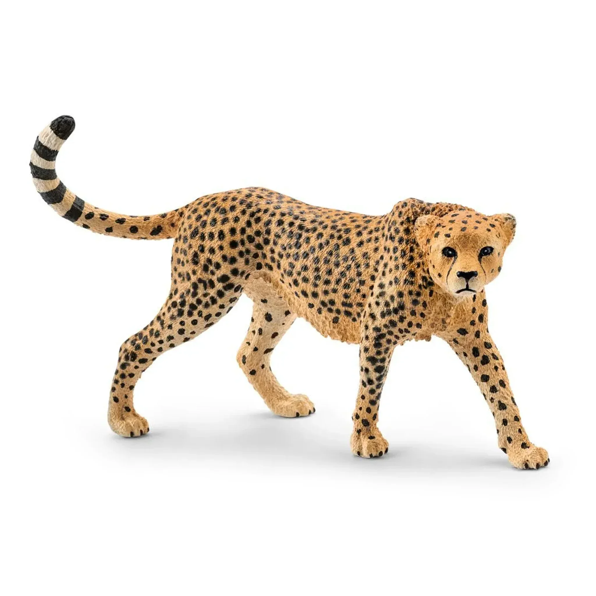 Schleich Big Cats – 10 piece set - Image 8