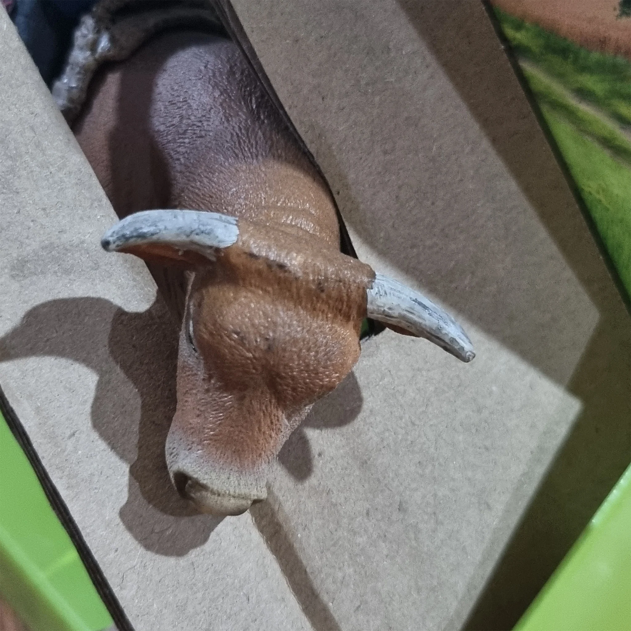 Schleich Exclusive Cowboy and bull - Damaged - Image 3