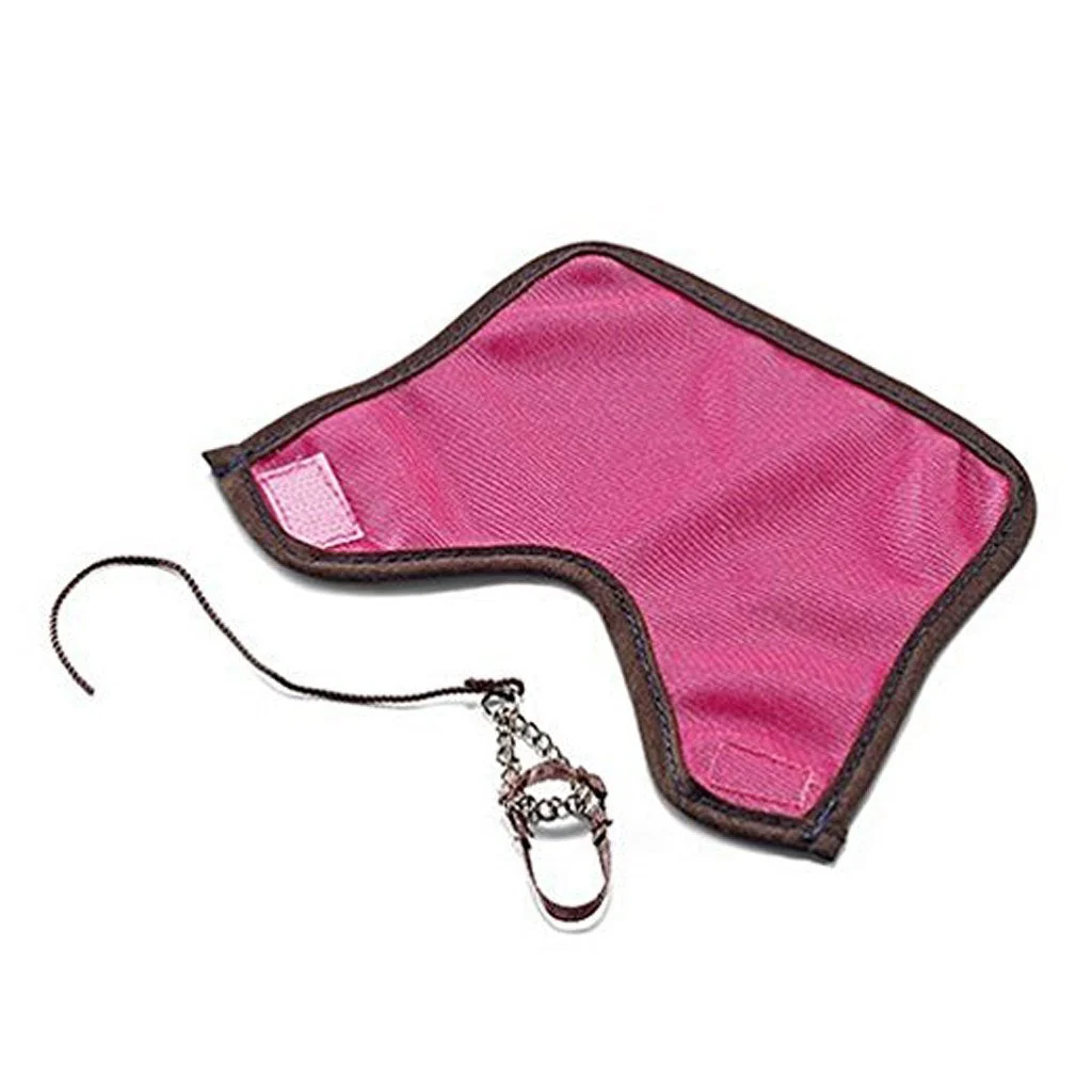Schleich Fly Blanket and Halter