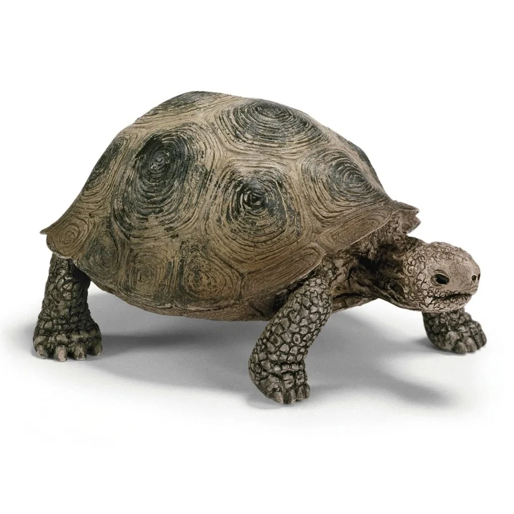 Schleich Giant Tortoise