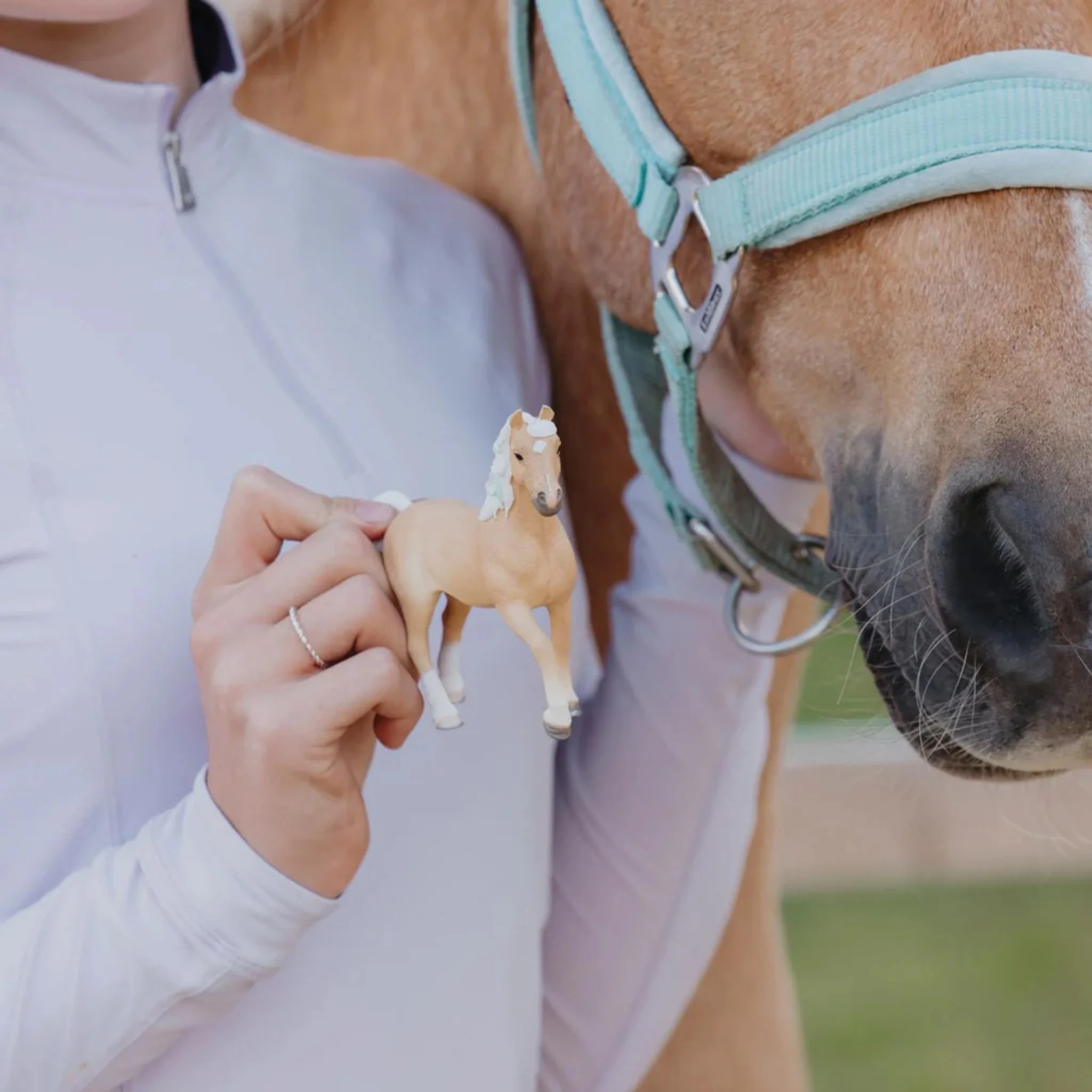 Schleich Horse Club Harlow Luna White - Popcorn - Image 2