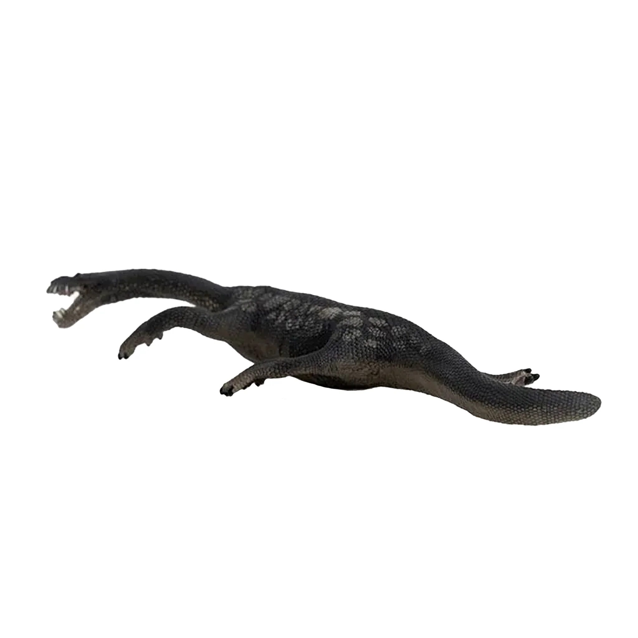 Schleich Nothosaurus - Image 7
