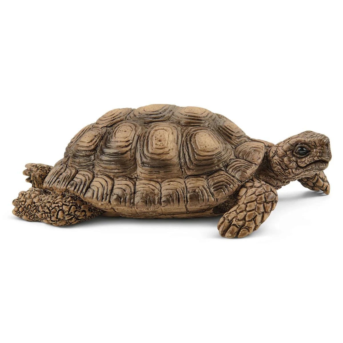 Schleich Tortoise Home - Image 3
