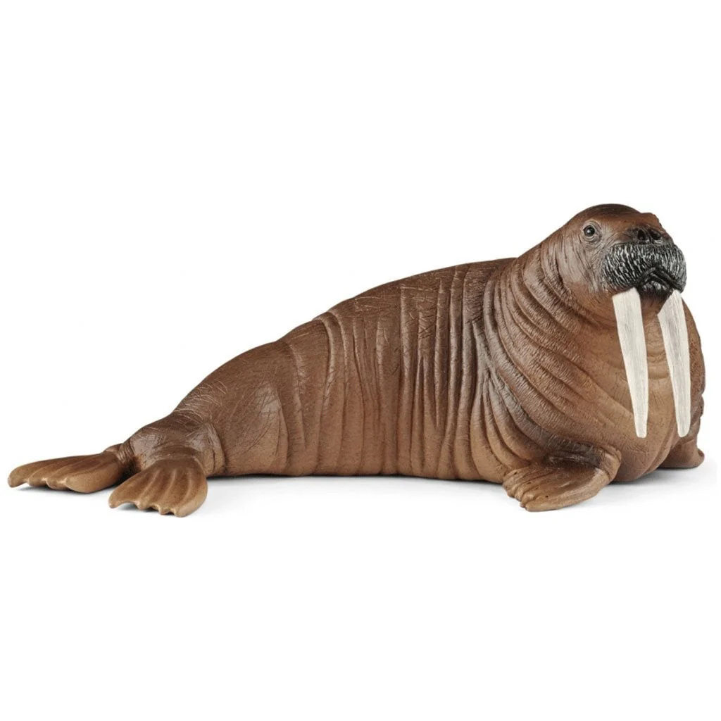 Schleich Walrus
