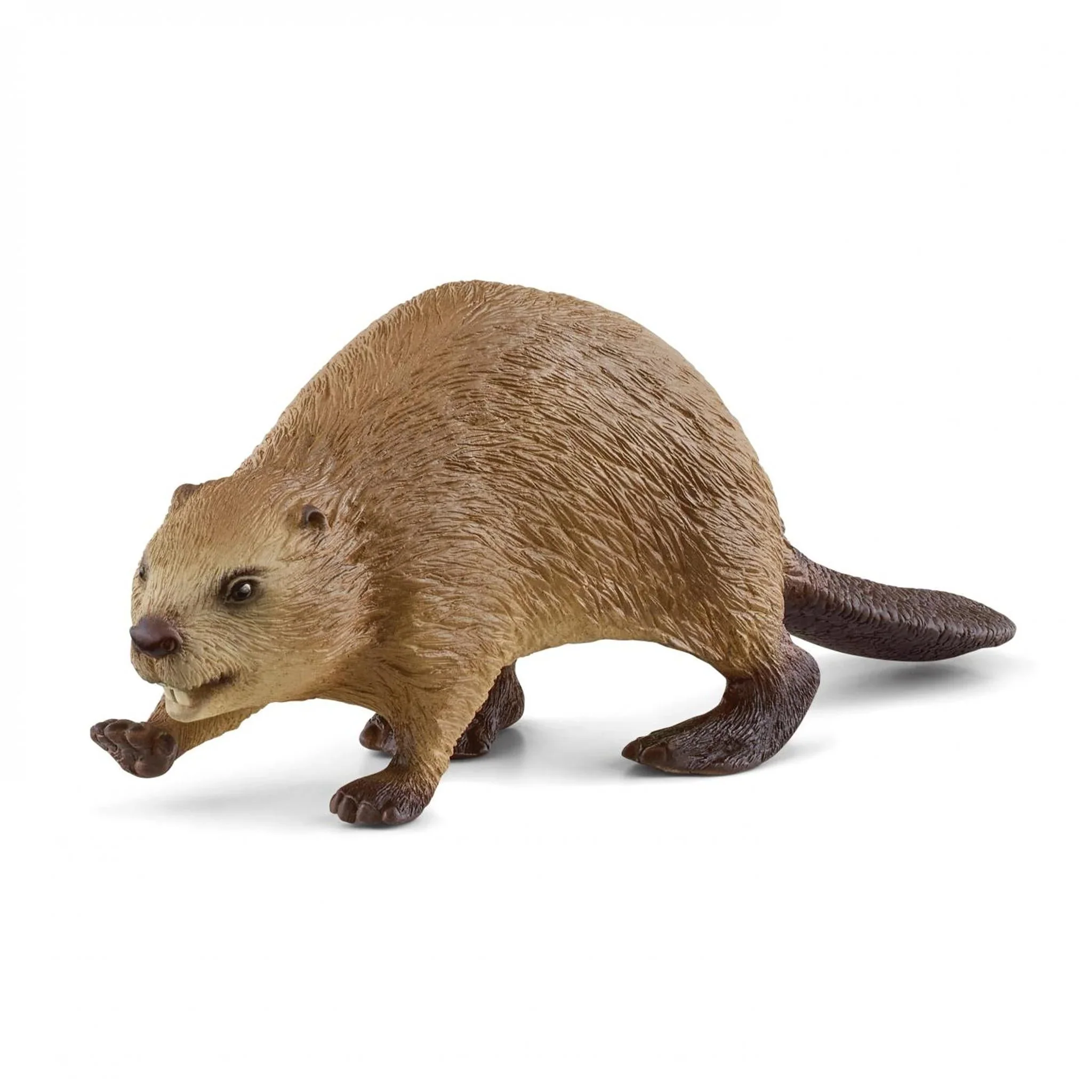Schleich Woodland Wildlife – 15 piece set - Image 12