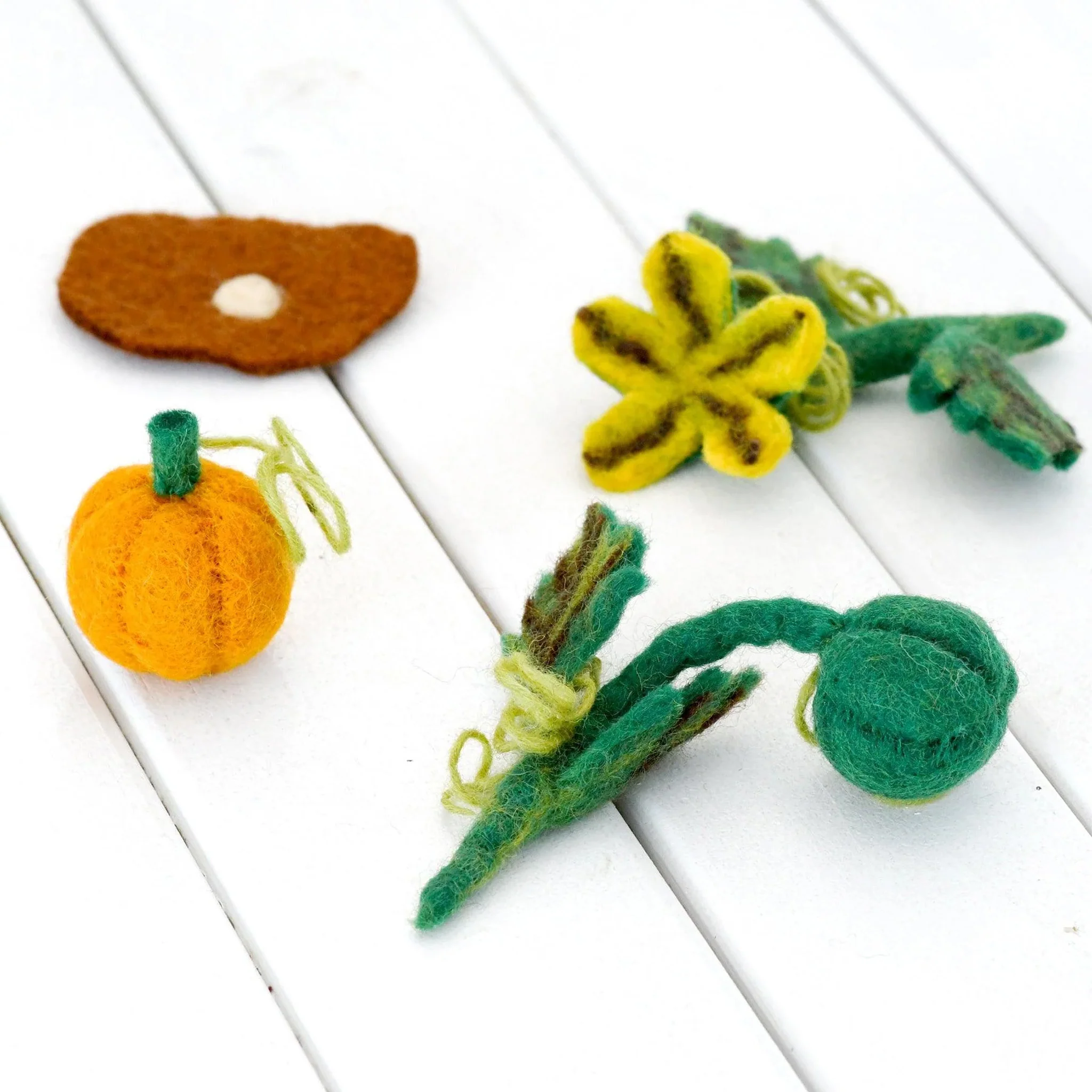 Tara Treasures: Felt Lifecycle of a Pumpkin - Image 8
