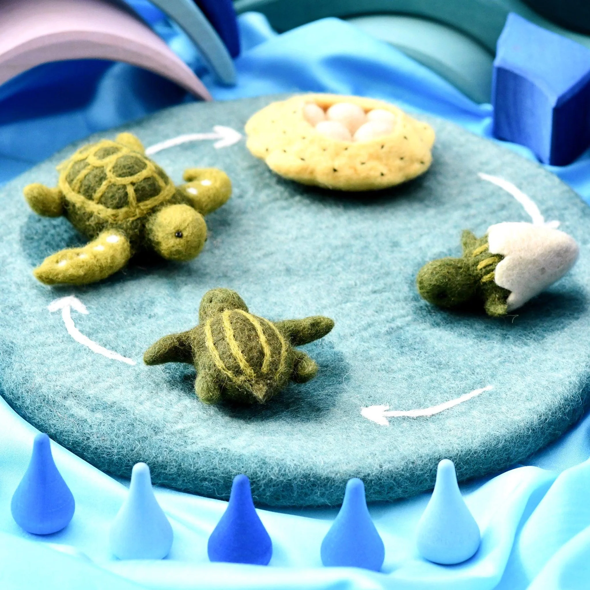 Tara Treasures: Felt Lifecycle of Green Sea Turtle - Image 11
