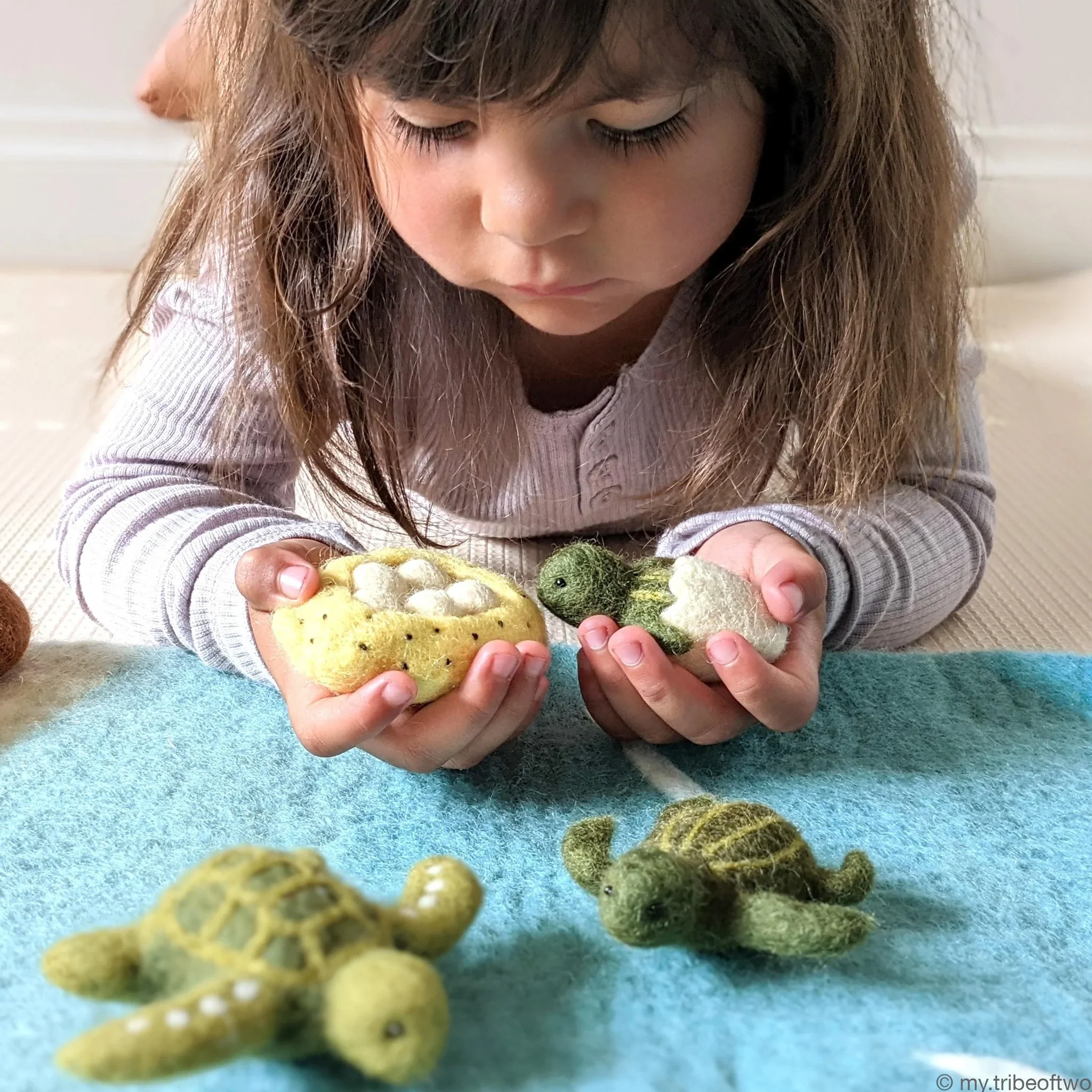 Tara Treasures: Felt Lifecycle of Green Sea Turtle - Image 3