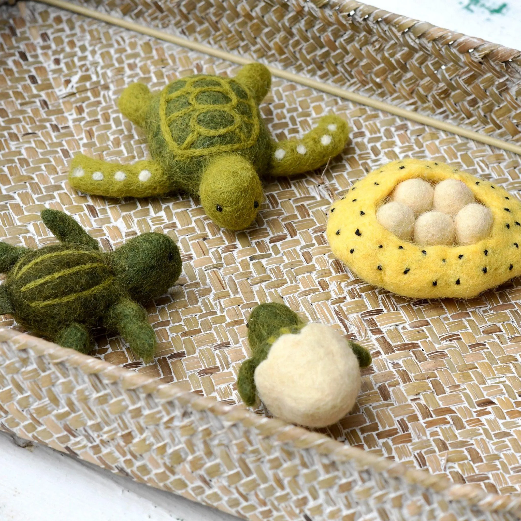 Tara Treasures: Felt Lifecycle of Green Sea Turtle - Image 4